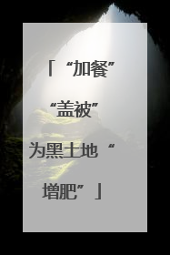 “加餐”“盖被” 为黑土地“增肥”